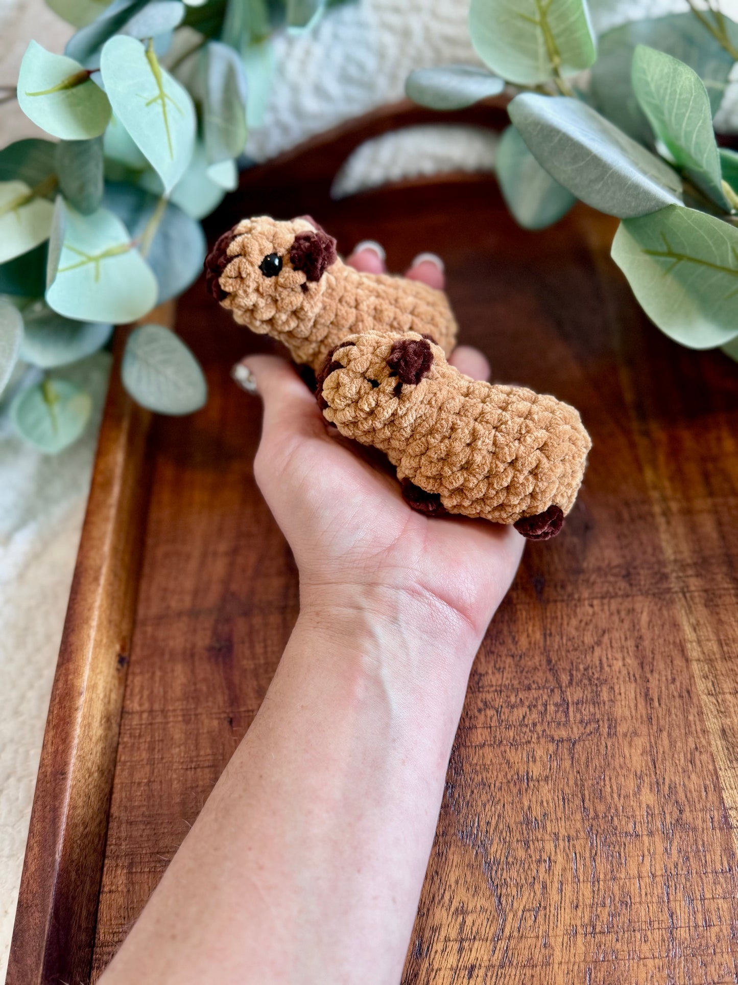 Made to Order - Mini Capybara