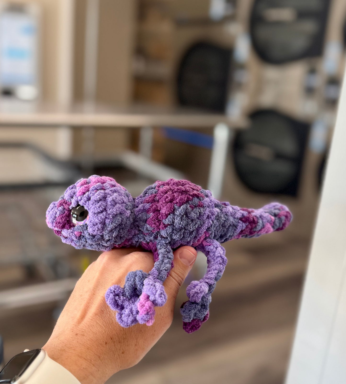 Made to Order - Geckos