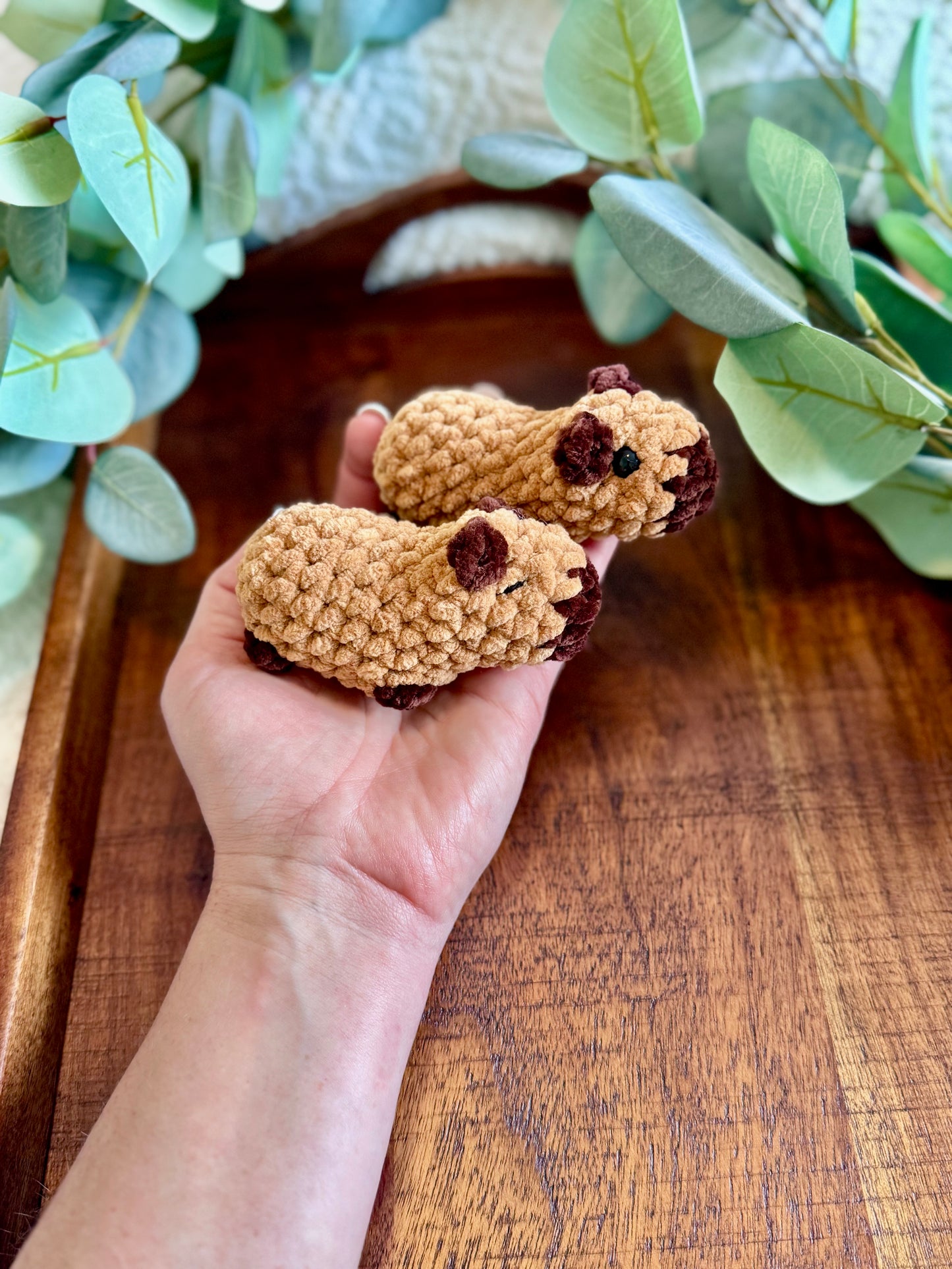 Made to Order - Mini Capybara