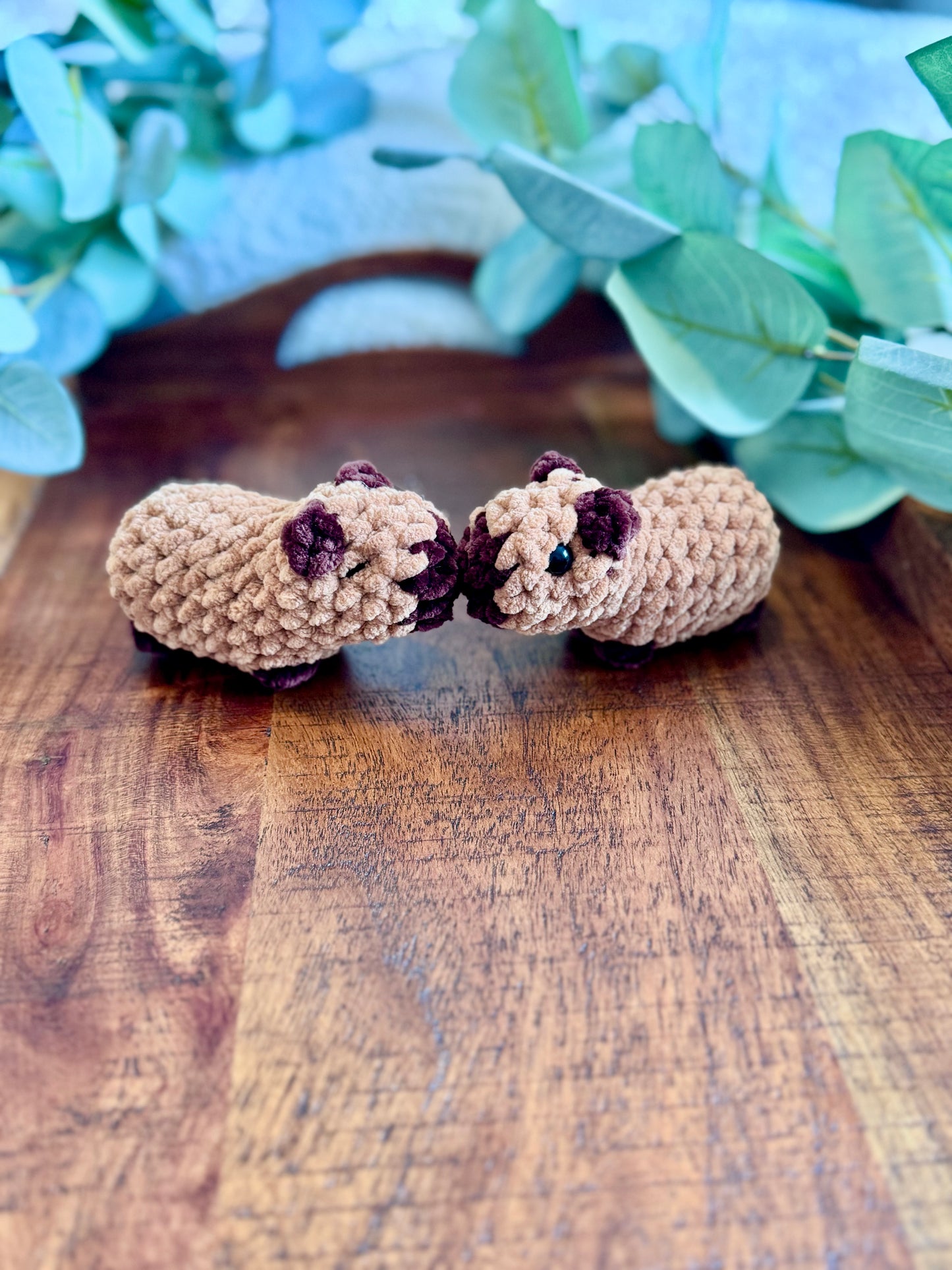 Made to Order - Mini Capybara