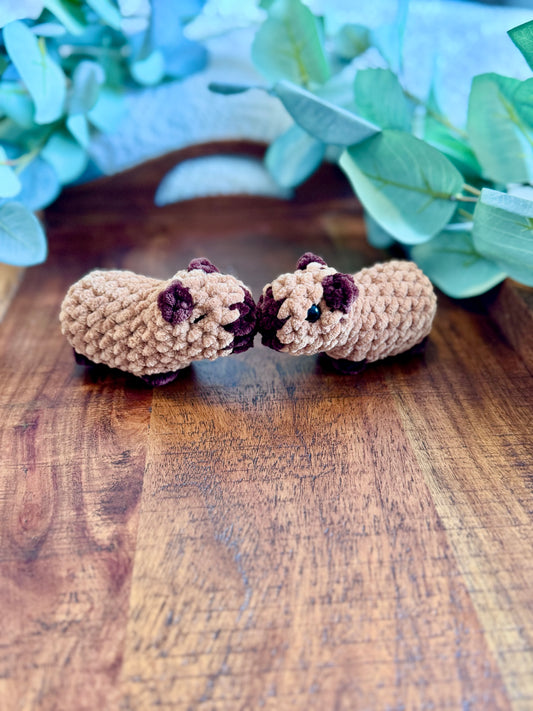 Made to Order - Mini Capybara