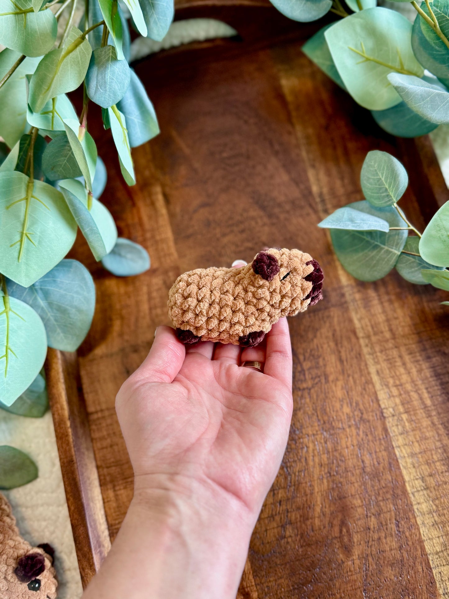 Made to Order - Mini Capybara